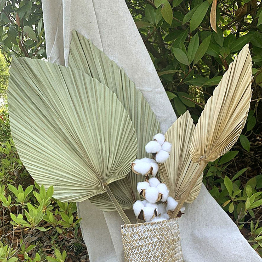 Palm Leaf Dried - 1Pcs Dekorasi Daun Palem Kering Segar
