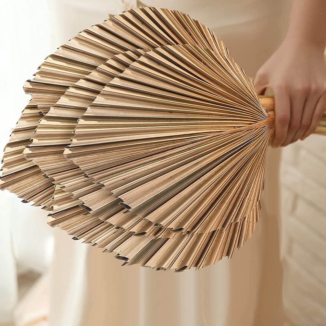 Palm Leaf Dried - Dekorasi daun palem kering alami, 5
