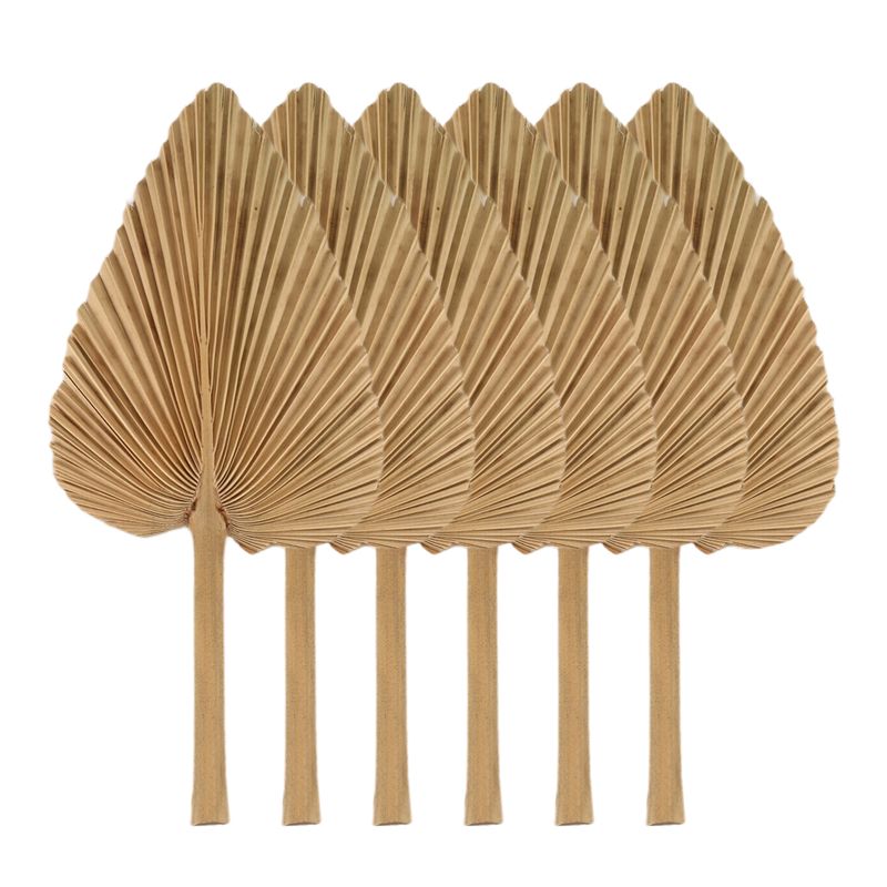 Palm Leaf Dried - AT84-6PCS Daun Palem Kering Alami, Kipas