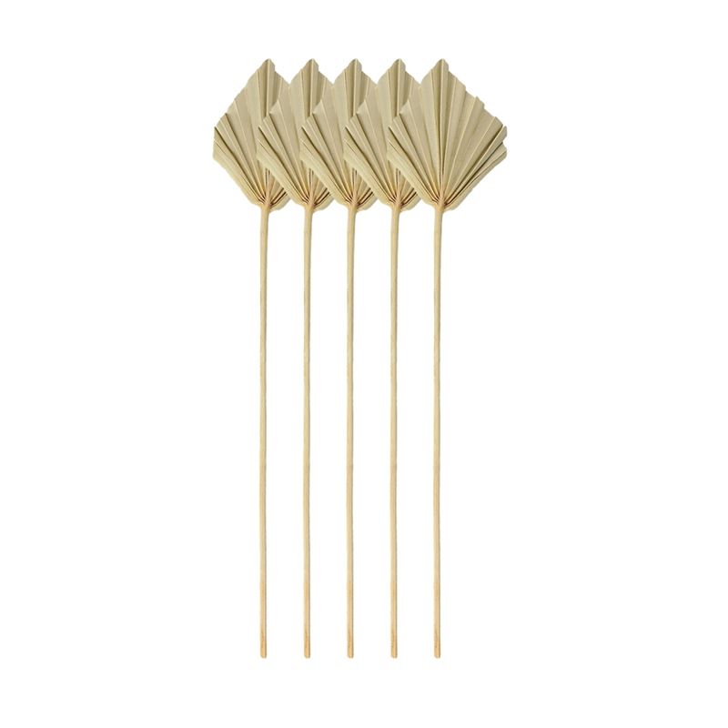 Palm Leaf Dried - A67P-Boho Daun Palem Kering Kecil Alami,