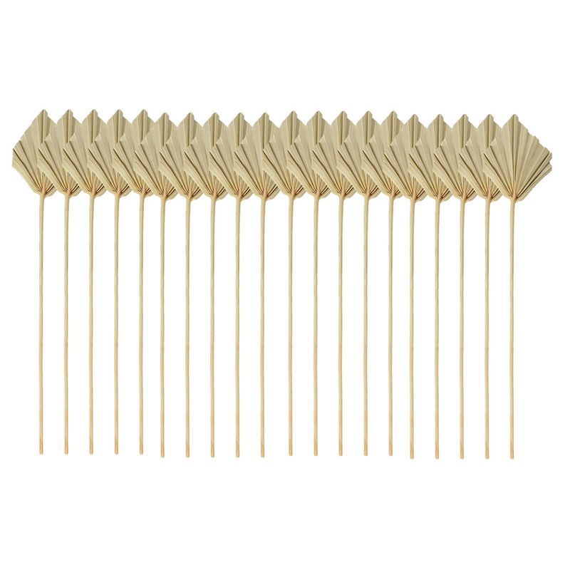 Palm Leaf Dried - ABYN-Boho Daun Palem Kering Kecil Alami