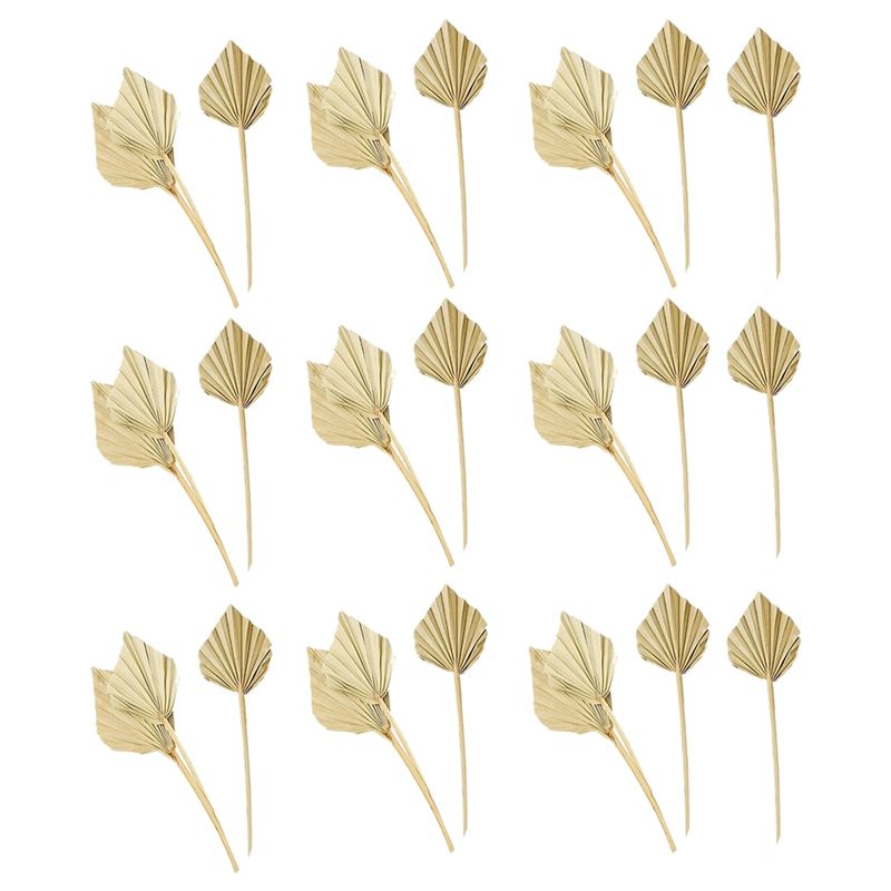 Palm Leaf Dried - AS60-30 Pcs Daun Palem Kering Boho,