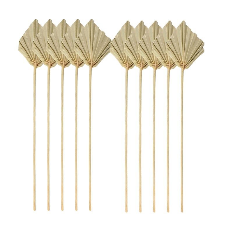 Palm Leaf Dried - TFORU-Boho Daun Palem Kering Kecil Alami