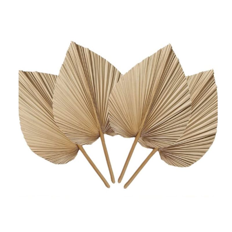 Palm Leaf Dried - A27F-6 Buah Daun Palem Kering Tropis