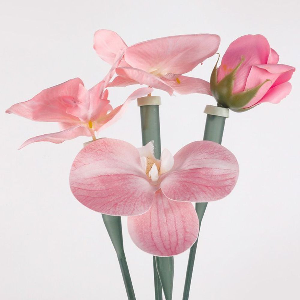The Florist Supply Shop - Tabung Pengawet Bunga, Botol Plastik Transparan