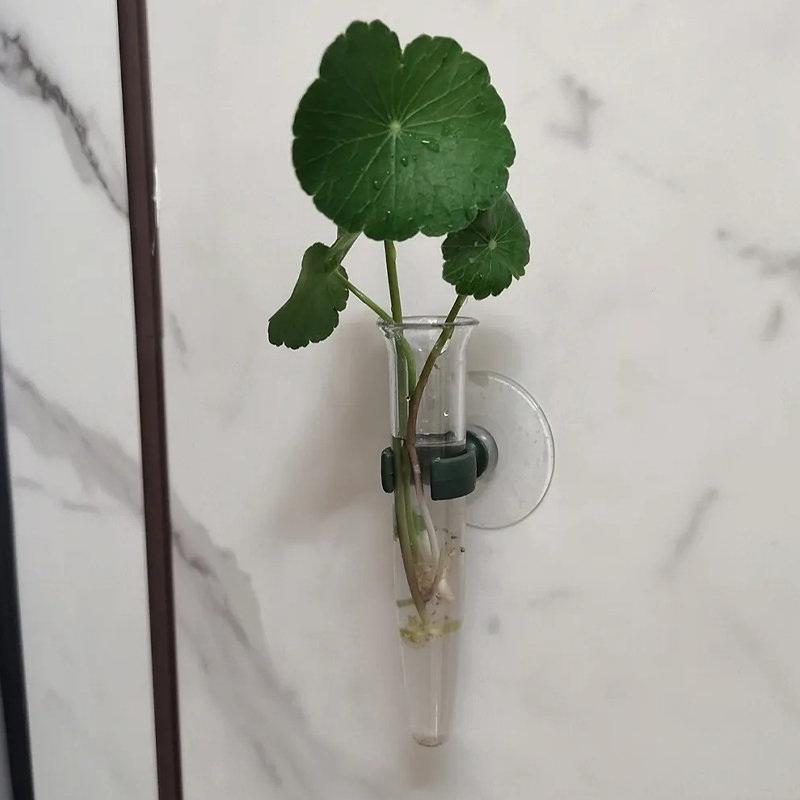 Tabung Air Bunga 11cm, Wadah N - The Florist Supply ulasan dan harga