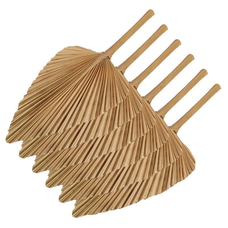 AT84-6PCS Daun Palem Kering Al - Palm Leaf Dried ulasan dan harga