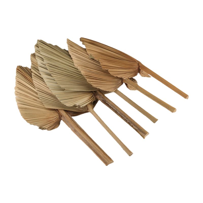 AT84-6PCS Daun Palem Kering Al - Palm Leaf Dried ulasan dan harga