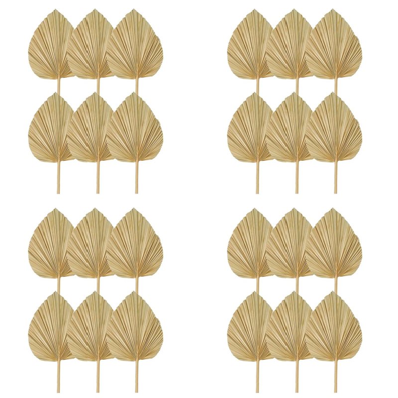 【NATAL】 24 Buah Daun Palem Ker - Palm Leaf Dried ulasan dan harga