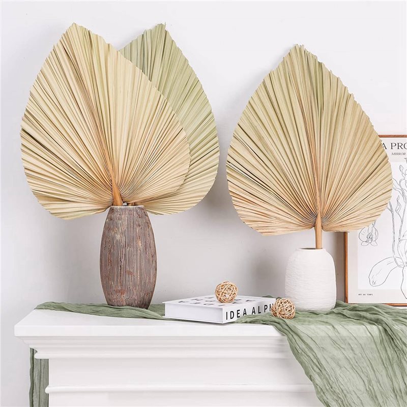 【NATAL】 24 Buah Daun Palem Ker - Palm Leaf Dried ulasan dan harga