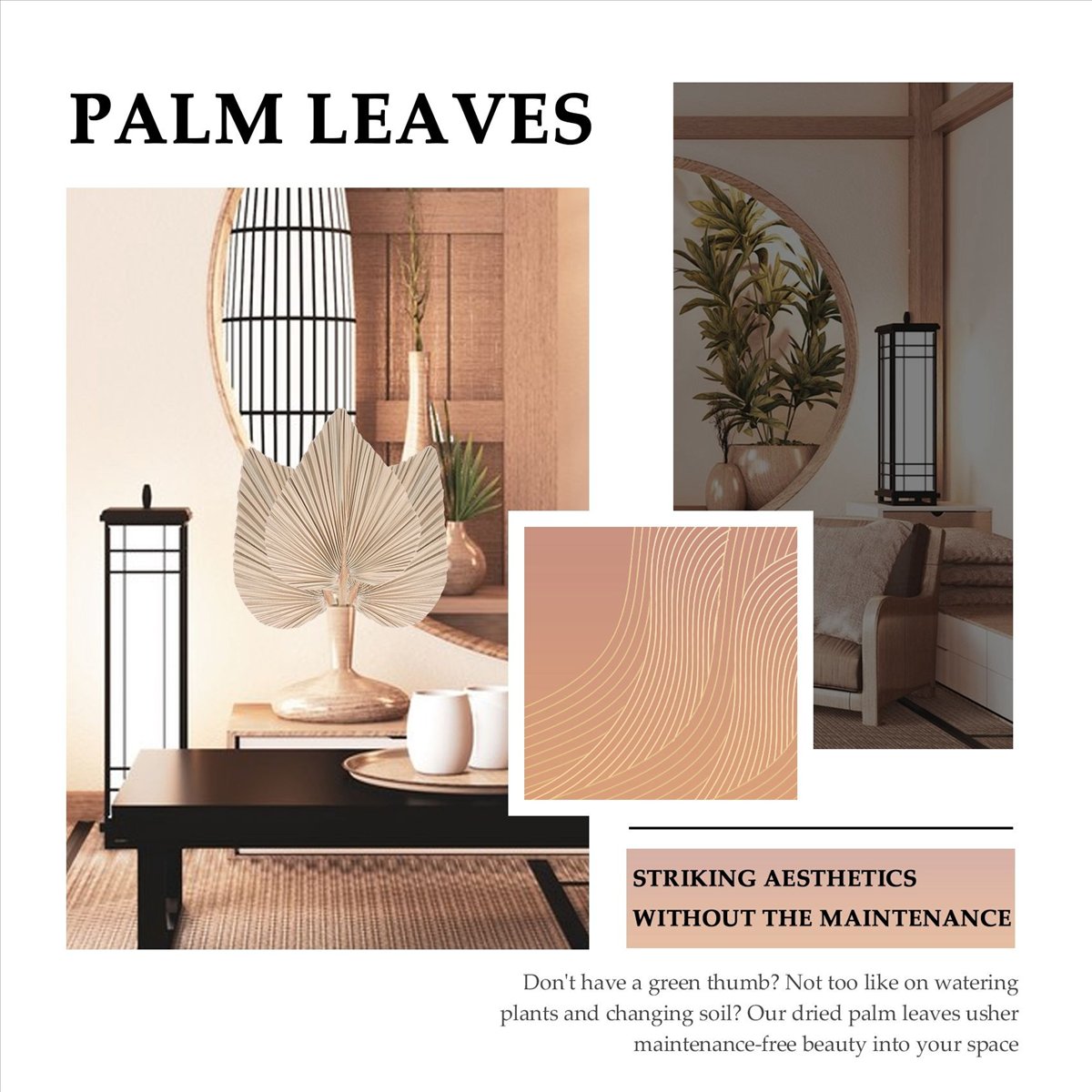 Dekorasi Ruangan Daun Palem Ke - Palm Leaf Dried ulasan dan harga