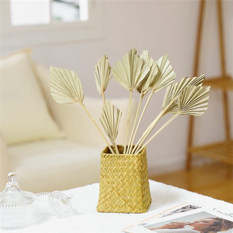 TFORU-Boho Daun Palem Kering K - Palm Leaf Dried ulasan dan harga