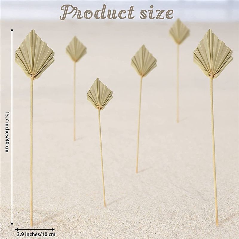 A36T-30 Pcs Kipas Daun Palem K - Palm Leaf Dried ulasan dan harga