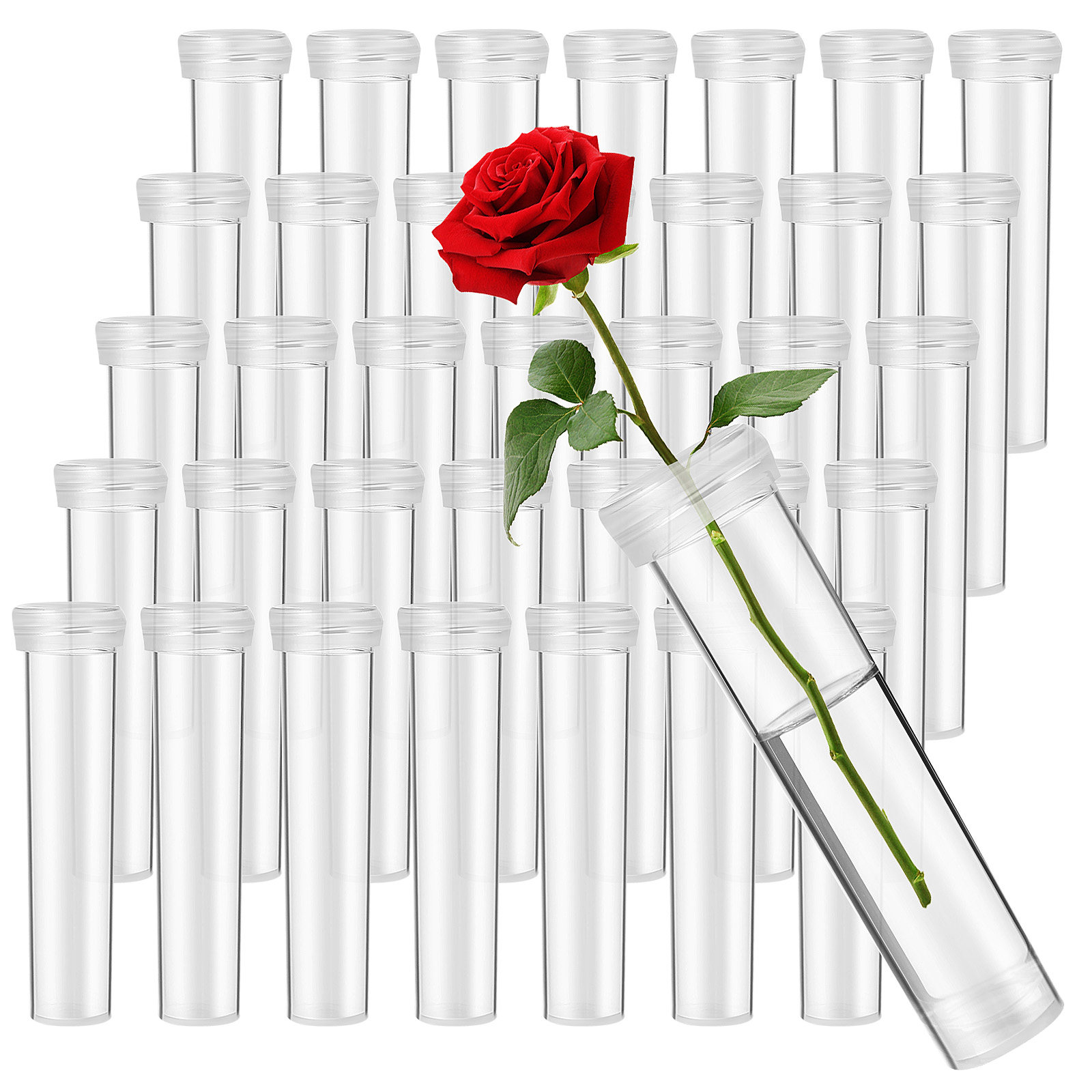 100 Buah Tabung Air Batang Bun - The Florist Supply ulasan dan harga