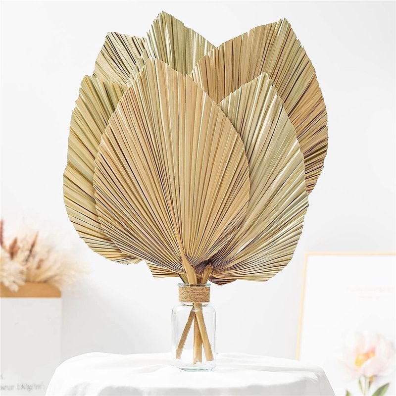 A27F-6 Buah Daun Palem Kering  - Palm Leaf Dried ulasan dan harga