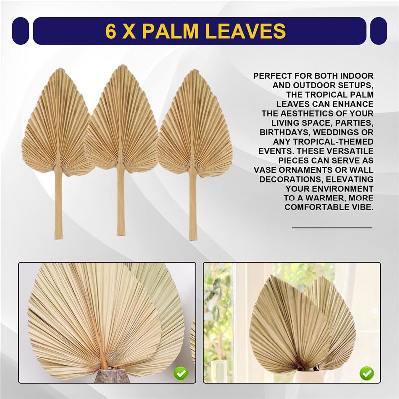 ABKO-6PCS Daun Palem Kering Al - Palm Leaf Dried ulasan dan harga