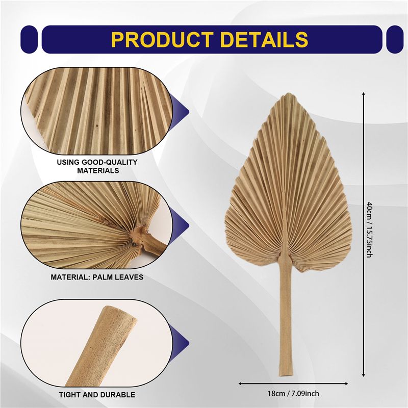 ABKO-6PCS Daun Palem Kering Al - Palm Leaf Dried ulasan dan harga